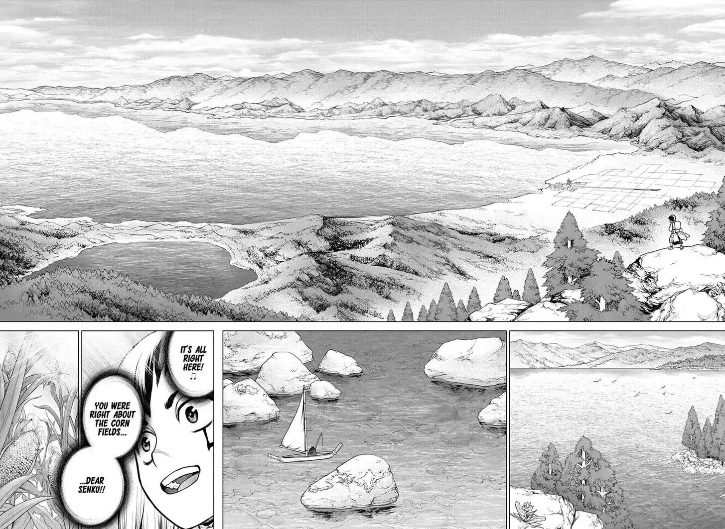 Dr. Stone Chapter 151 8